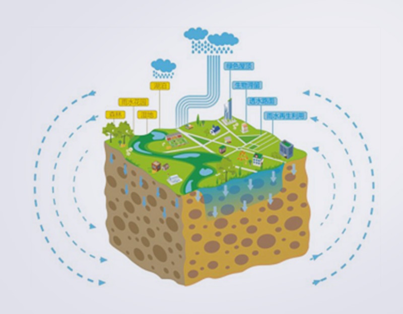 海綿城市( 無礫石排水)